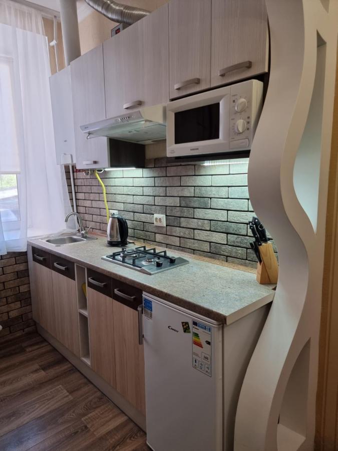 Petropavlivska Apartment Тиха Вуличка В Центрі Старого Міста 卡缅涅茨-波多利斯基 外观 照片